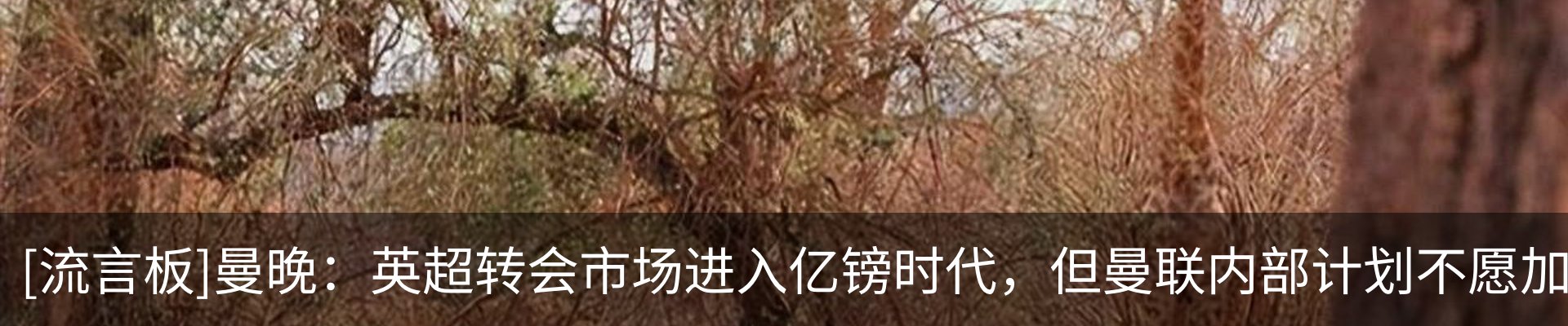 资讯动态